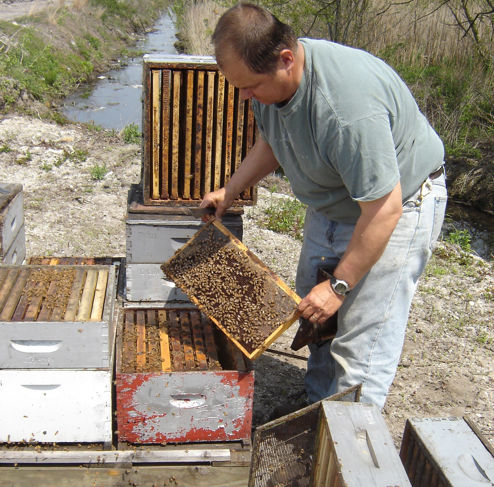 Middlesex County Master Gardener Workshop Basics Of Bee Keeping Rutgers Sebs And Njaes Newsroom