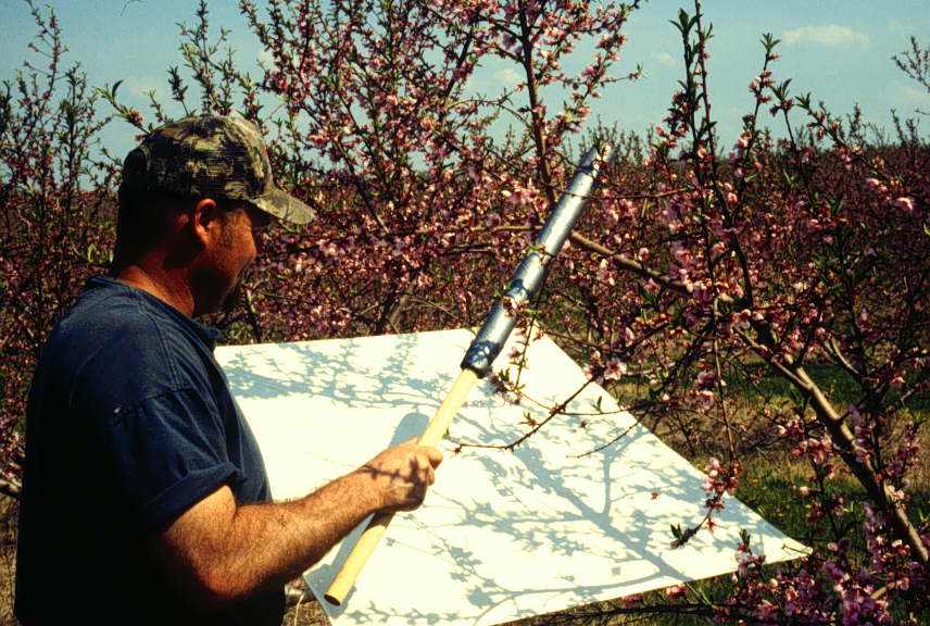 Beating tray to monitor orchard pests