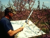 Beating tray to monitor orchard pests