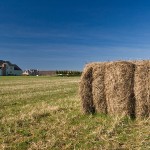 Urban Fringe Farming