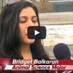 Video: Animal Farm Tour Program