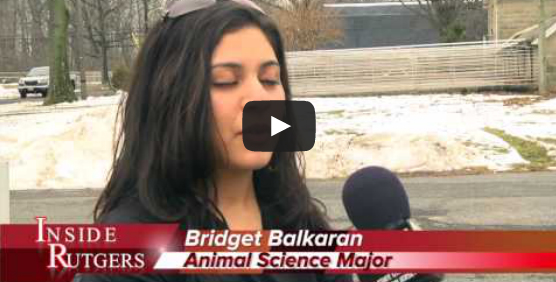 Video: Animal Farm Tour Program