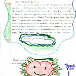 Photo: a student's letter and picture