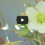 Video: The Science Behind Gardening