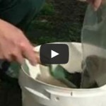 Video: How to Test Your Soil