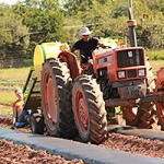 Honey Brook Organic Farmer and Interns planting behind a tractor