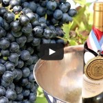 Watch the New Jersey wine industry get a Rutgers education.