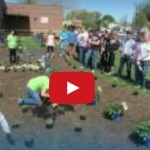 Video: Hamilton High School West Rain Garden Installation