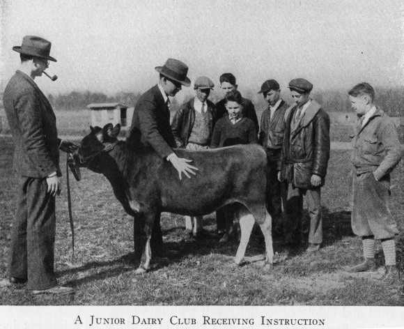 Junior Dairy Club receiving instruction