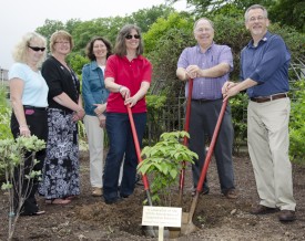 The anniversary committee with dogweeod tree and plaque. (L - R) Daryl Minch, Jeannette Rea-Keywood, Cindy Rovins, Stephanie Murphy, Zane Helsel, Nick Polanin. 