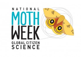National Moth Week logo.