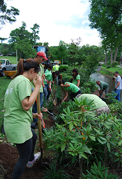 A team of Rutgers students installing new plants at Maplewood’s Memorial Park. Photo: Courtesy of Maplewood Matters