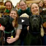 Video: 2014-15 LiveBIG: Rutgers Seeing Eye Puppy Raising Club