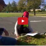 Video: Extreme Weeds of Parking Lots : Plants Are Cool, Too! Episode 6