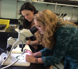 Mosses are extremely difficult to identify without a dissecting scope. Here, Eliana Geretz and her honors thesis mentor Myla Aronson identify tree mosses from Philadelphia parks.