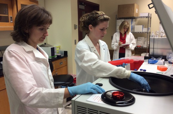 Inna Nikonorova, Ph.D., guides APS STEP-UP fellow Erica Steele in sample preparation in the Anthony lab.