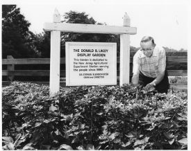 Donald B. Lacey and his Iris Display Garden.
