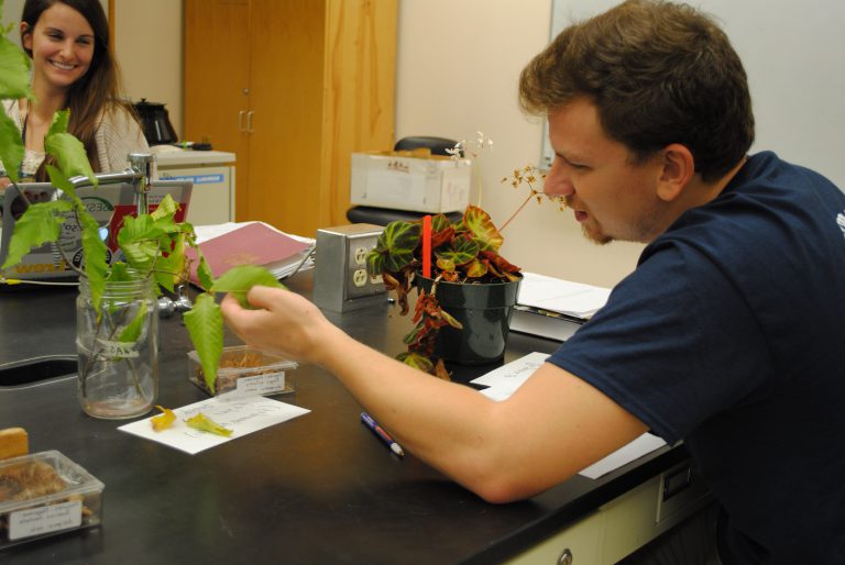 Professor Lena Struwe Launches Botany Depot – a Global Botanical ...