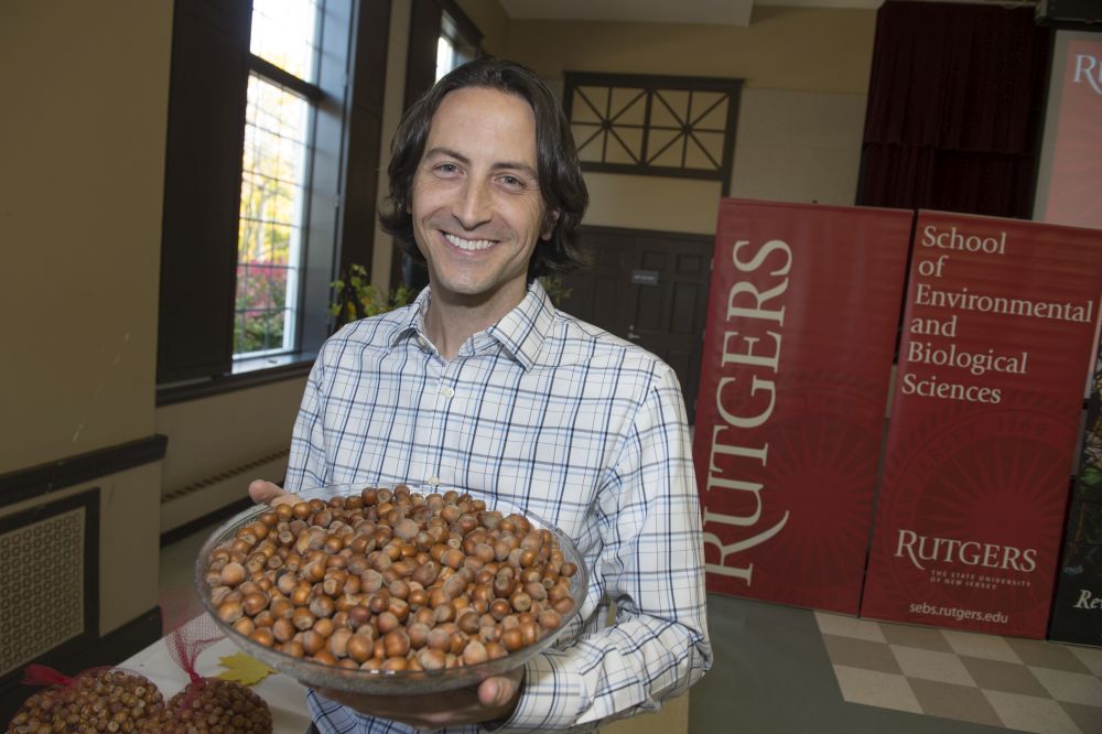 Hazelnut Job Newsroom