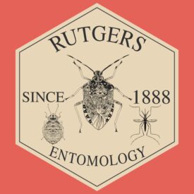 Logo for entomology department with insects and words