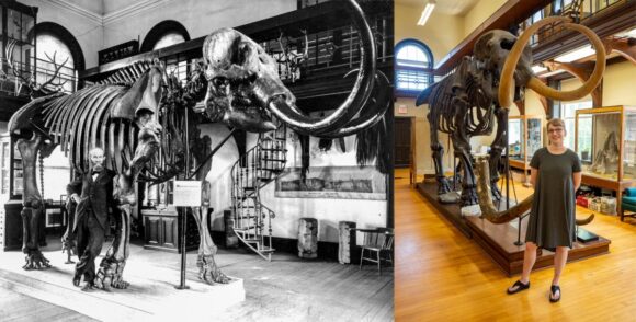 Old andnew pictures of a person standing by a mastodon skeleton in the museum.