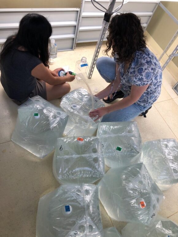 Two researchers preparing water samples