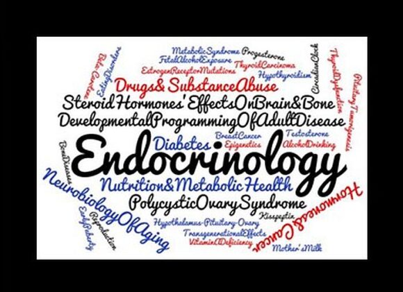 Endocrinology infographic