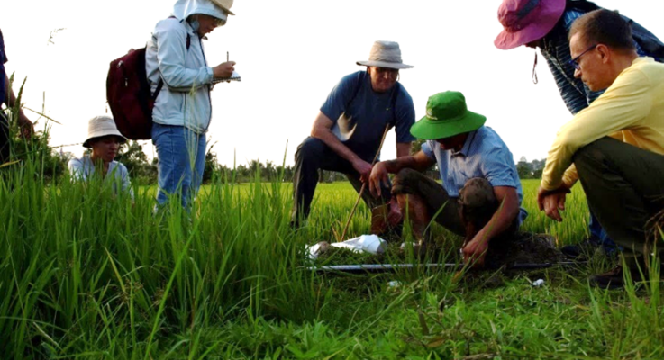 SEBS Professors Study the Microbiology of Arsenic-Contaminated Agricultural Soils in the Mekong River and Red River Deltas