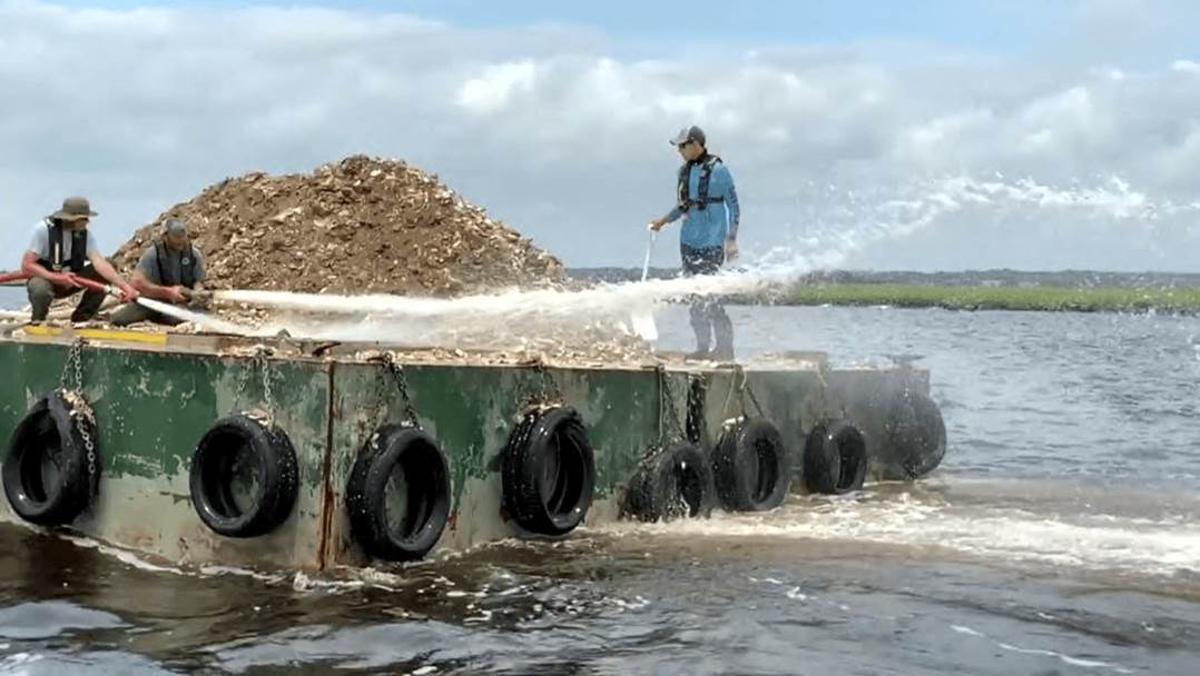 Oyster Recycling Programs are Coming Out of Their Shell : Newsroom