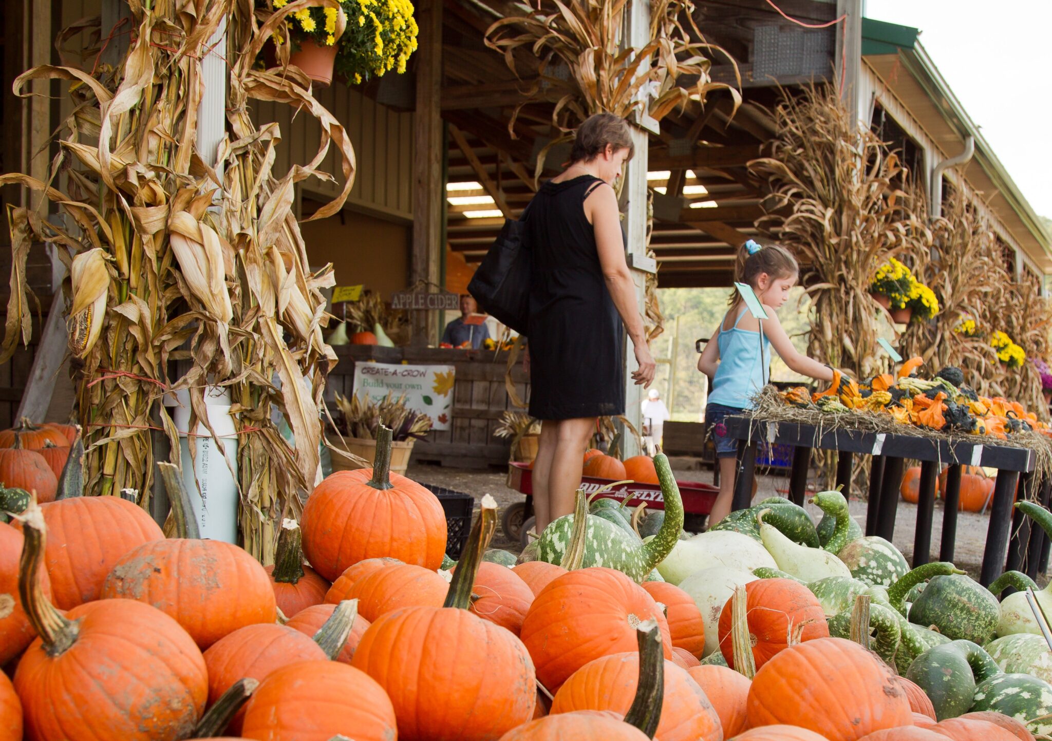 Jack Rabin Agritourism: Fall Season Offers Bountiful Reasons to Visit a Farm ...
