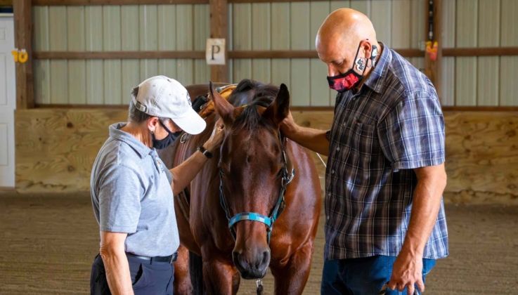 Horse-Caring Helps Veterans With PTSD