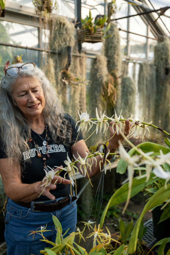 A person tends to a plant in a greenhouse