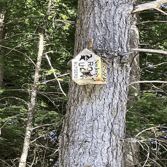 A birdhouse attached to a tree