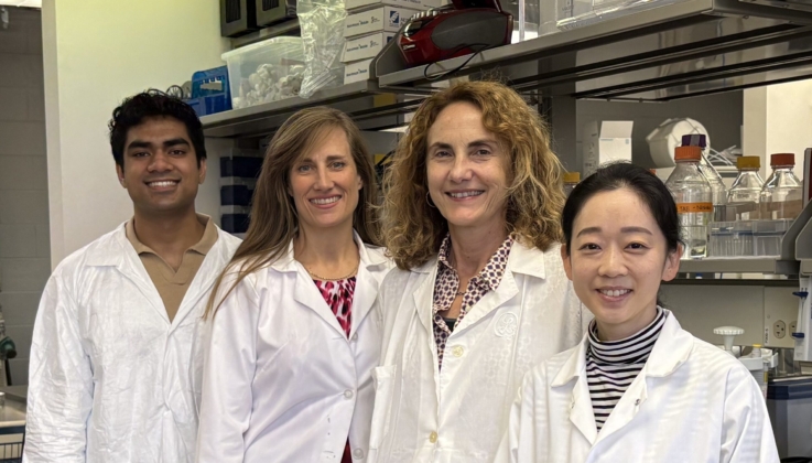 Amino Acid Shortage Disrupts Vitamin A Distribution, Rutgers Study Finds