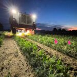 Weeding machine in field