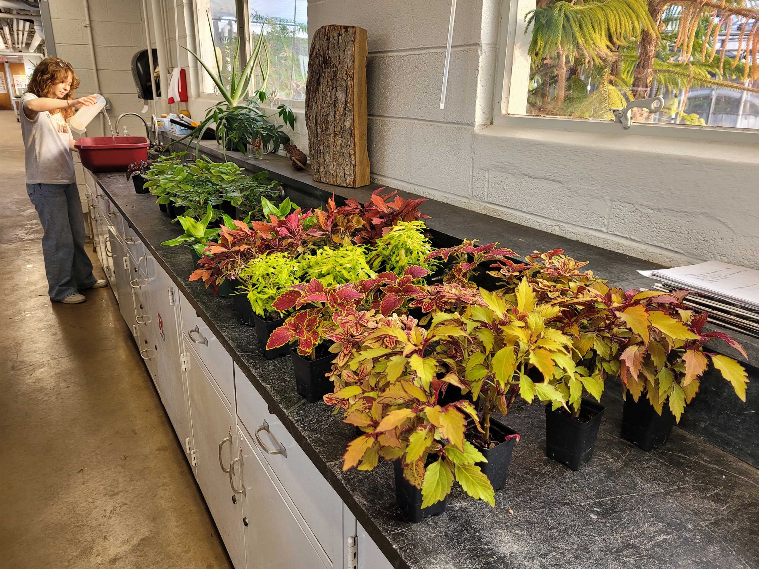 Student plants a seedling as part of a class