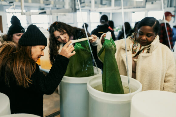 Three women standing around tall cylindrical containers filled with water and green mesh bags. All hold those bags halfway out of the water, peering at them in curiosity. 