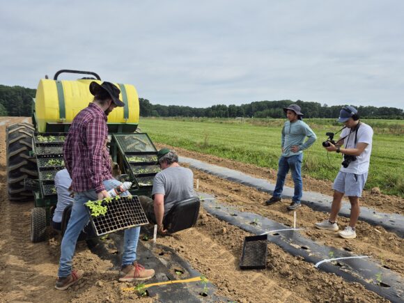 An individual films the cultivation process of basil while another person drives a cultivator tractor and others look on