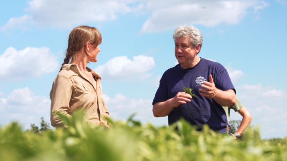 Two individuals meeting in a basil field
