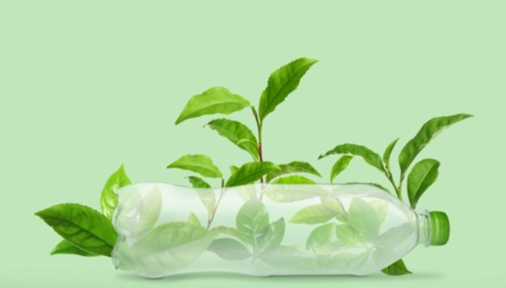 Are "Eco-Friendly" Plastics Really Better for the Environment?