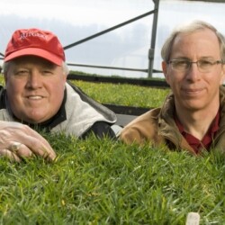 Bill Meyers and Bruce Clarke in greenhouse with turf sample