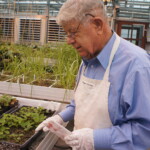 Professor in research greenhouse