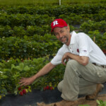 Pete Nitzsche in strawberry field