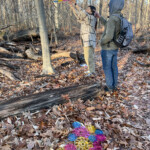 Two people adjusting a chromatic canopy