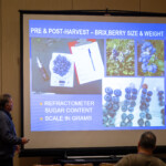 A presenter speaks about blueberries pre and post-harvest
