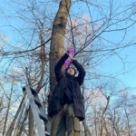 A person adjusting leaf-shaped acrylic pieces and connecting them to branches