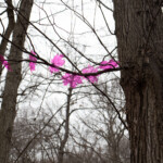 Clear pink leaf-shaped acrylic pieces connected to tree branches