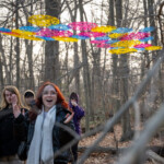 People observe chromatic canopies together