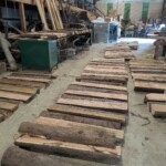 This image shows a room with many logs organized in rows.