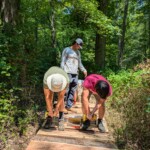 People with screwdrivers install planks onto a wooden boardwalk in the forest.
